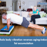 wbv decreases aging induced visceral adiposity fat percentage